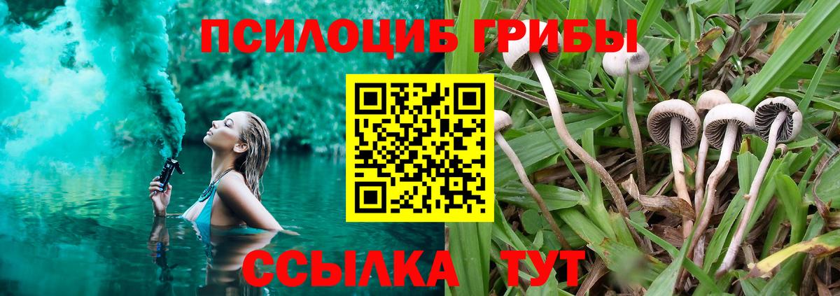 Галлюциногенные грибы GOLDEN TEACHER Братск
